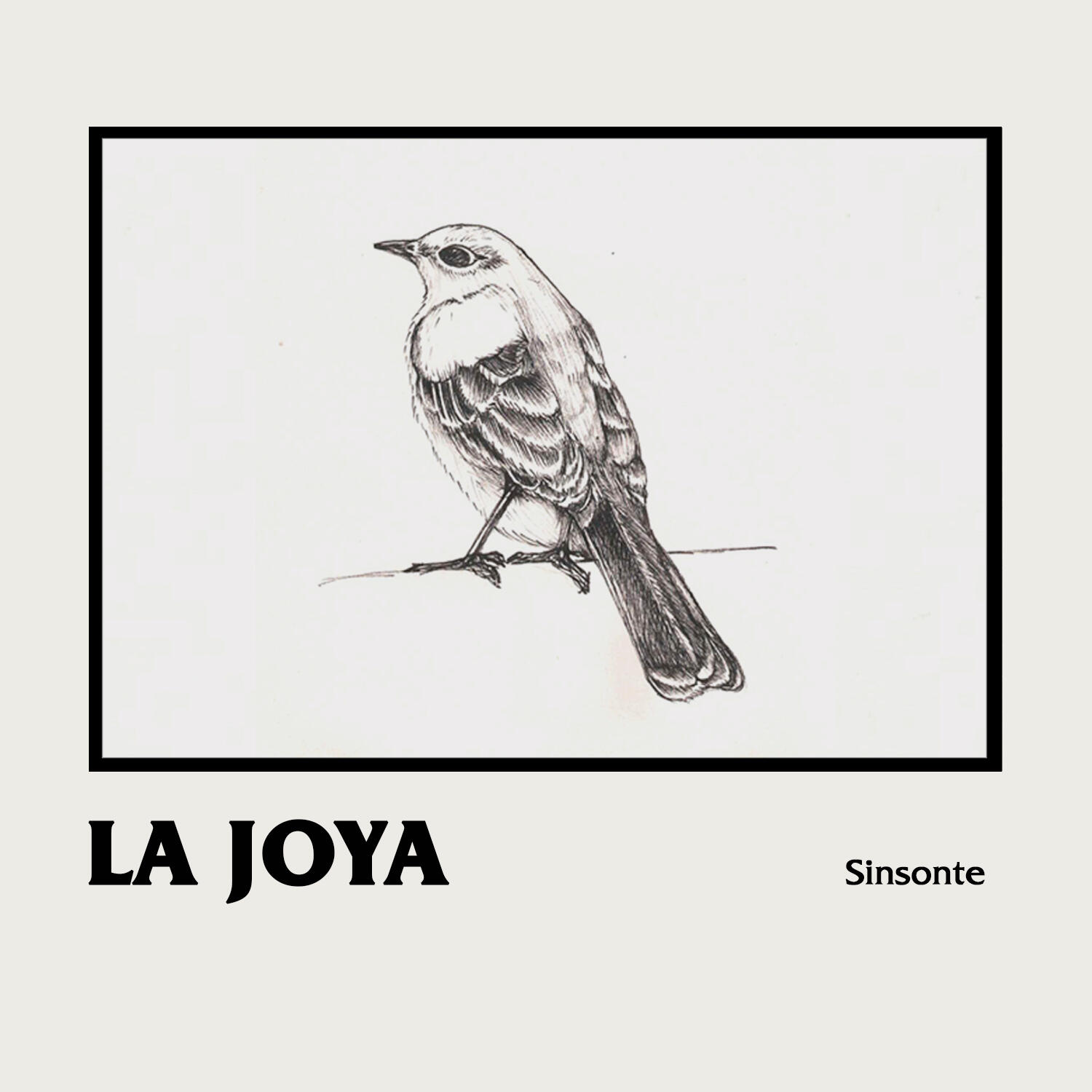 Sinsonte