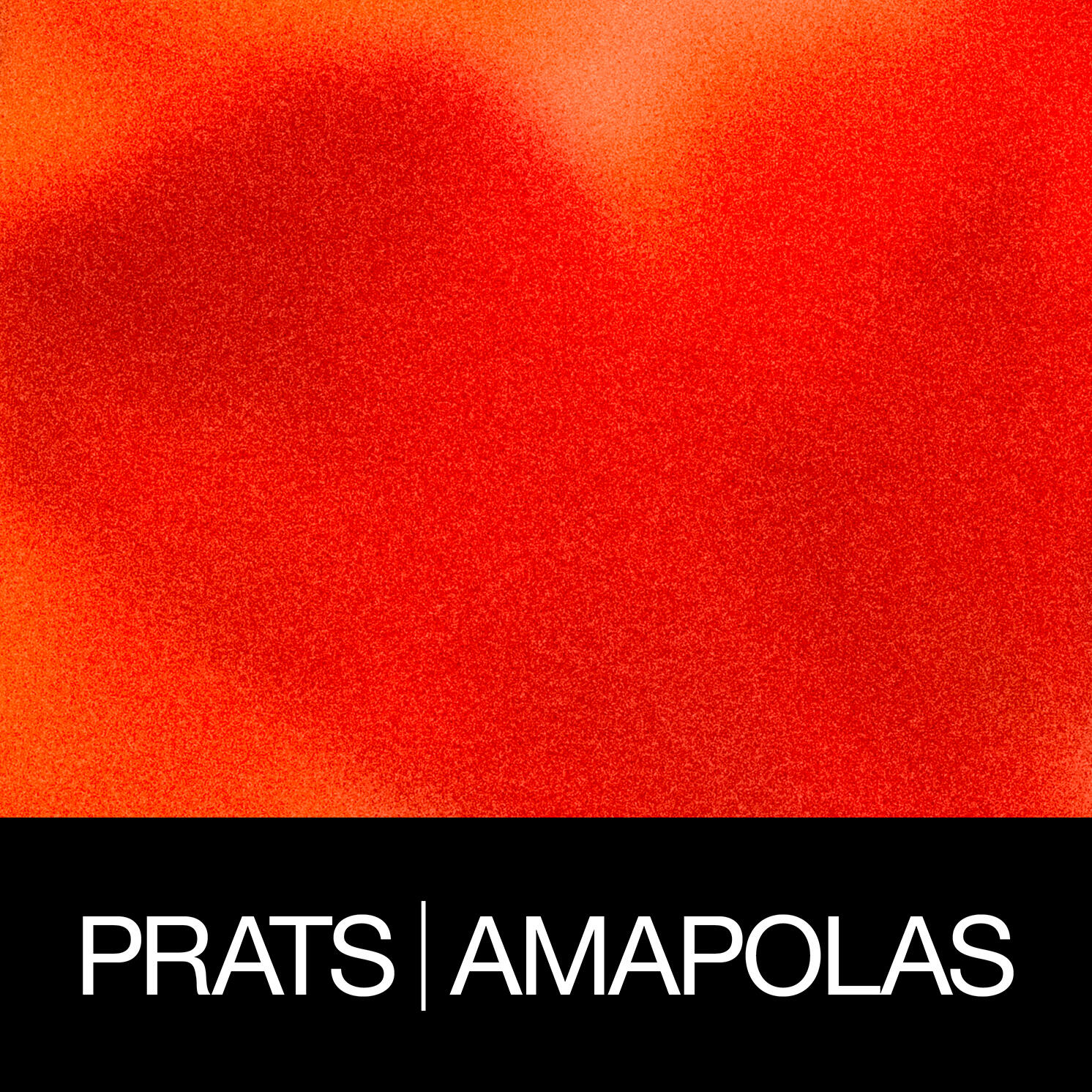 Amapolas